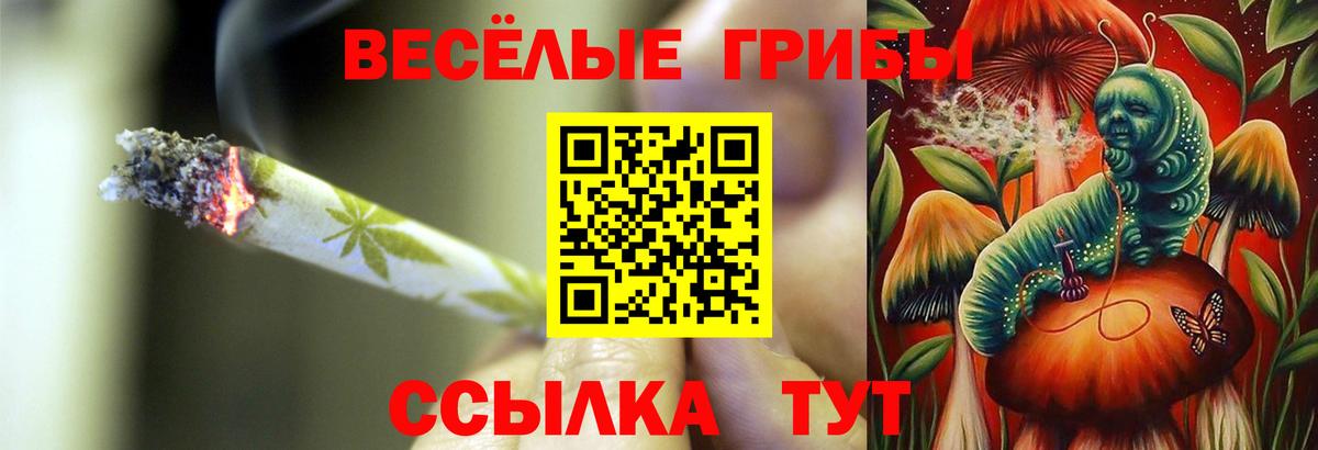 Псилоцибиновые грибы мухоморы  сколько стоит  Псилоцибиновые грибы ЛСД  Качканар  Вход с VPN 